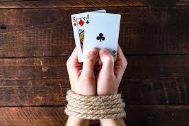 Как войти на сайт Kaktuz Casino